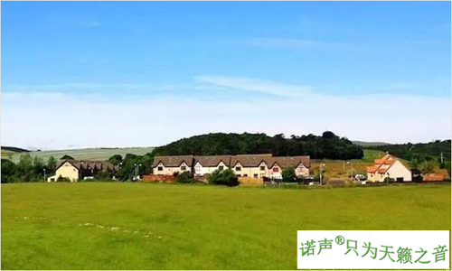 揭秘莫名的嗡嗡聲 揭秘莫名的嗡嗡聲