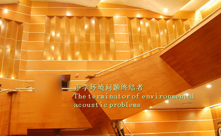 廣西南寧文化中心吸音板工程
